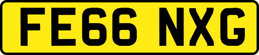 FE66NXG