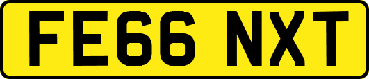 FE66NXT