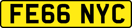 FE66NYC