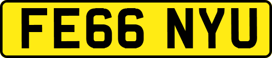 FE66NYU