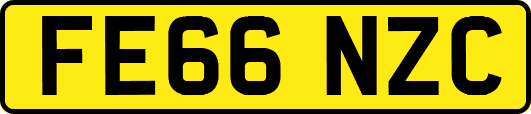 FE66NZC