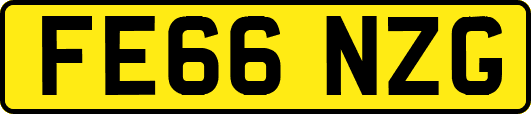 FE66NZG