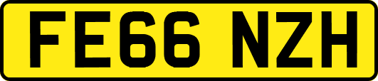 FE66NZH