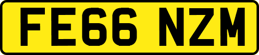 FE66NZM