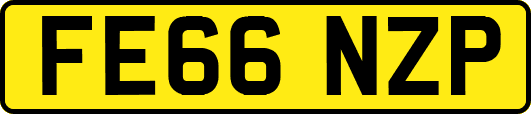 FE66NZP