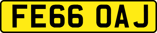 FE66OAJ