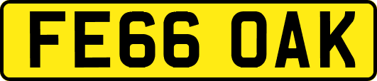 FE66OAK