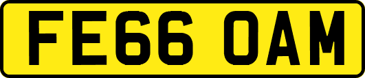 FE66OAM