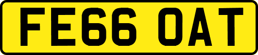 FE66OAT