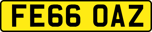 FE66OAZ