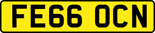 FE66OCN