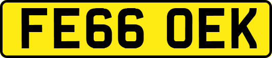 FE66OEK