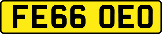 FE66OEO