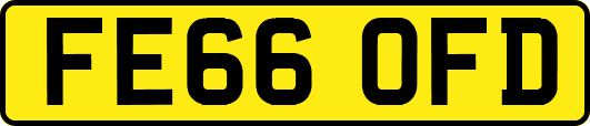 FE66OFD