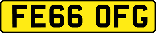 FE66OFG