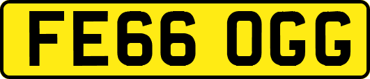 FE66OGG