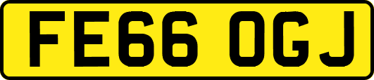 FE66OGJ