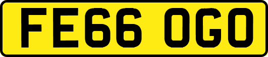FE66OGO