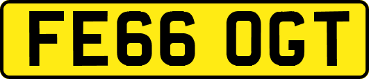 FE66OGT