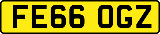 FE66OGZ