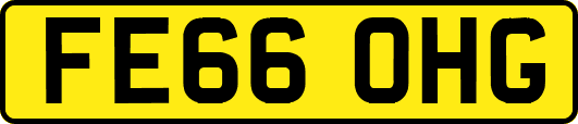 FE66OHG