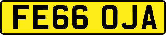 FE66OJA