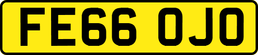 FE66OJO
