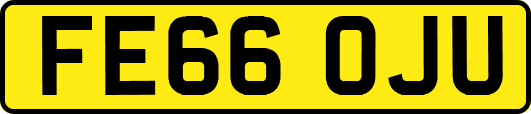 FE66OJU