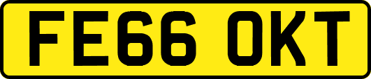 FE66OKT
