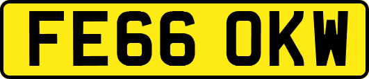 FE66OKW