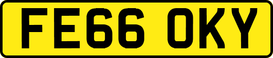 FE66OKY