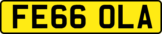 FE66OLA
