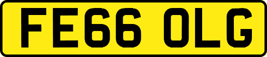 FE66OLG