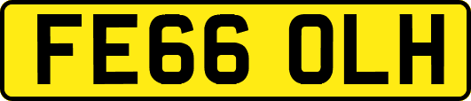 FE66OLH