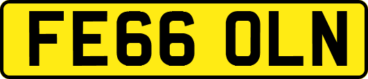 FE66OLN