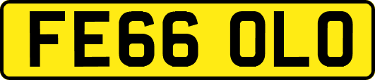 FE66OLO