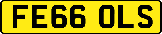 FE66OLS