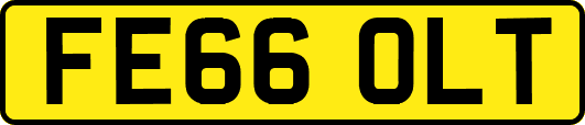 FE66OLT