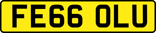 FE66OLU