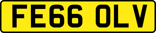 FE66OLV