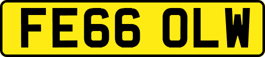 FE66OLW