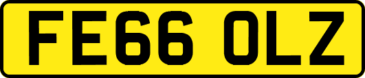 FE66OLZ