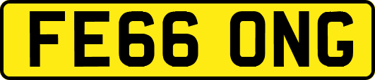 FE66ONG