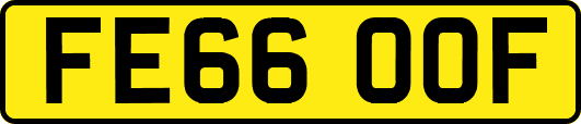 FE66OOF
