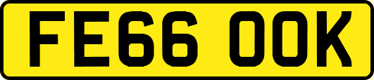 FE66OOK