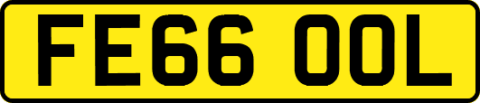 FE66OOL