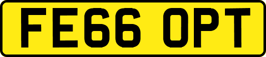 FE66OPT