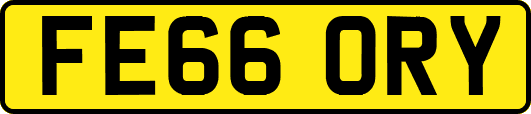 FE66ORY