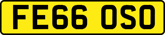 FE66OSO