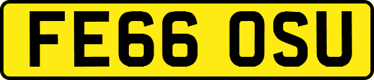 FE66OSU